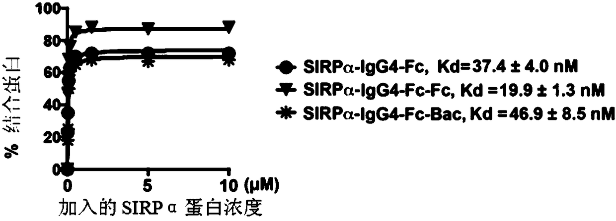 SIRP alpha fusion protein, preparation method and application thereof