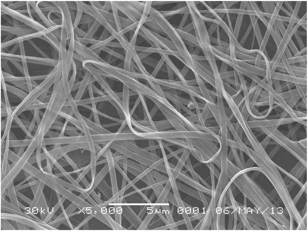 Chitosan non-woven fabric and preparation method and application thereof