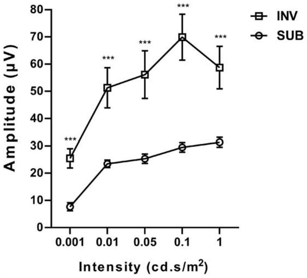 Novel mouse visual evoked potential recording method