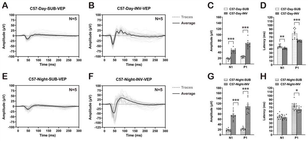 Novel mouse visual evoked potential recording method