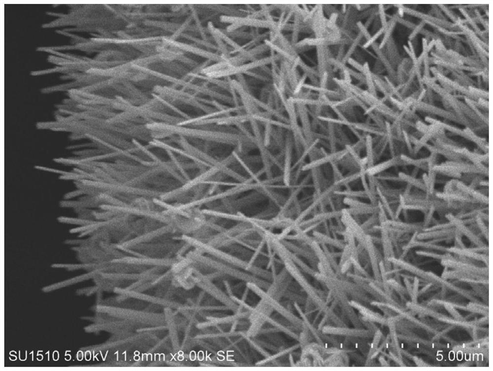 Preparation method of copper oxide with nano flower-like structure