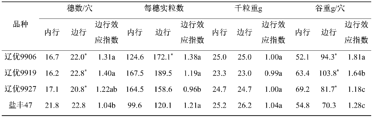 High-light-transmittance simplified cultivation method for hybrid japonica rice