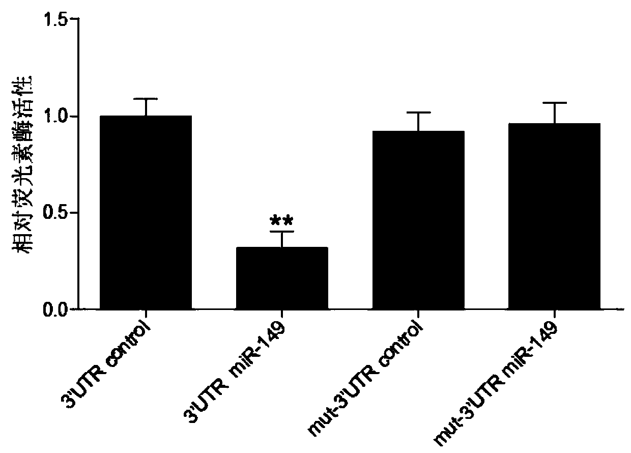 Application of microRNA and target gene thereof in colorectal cancer