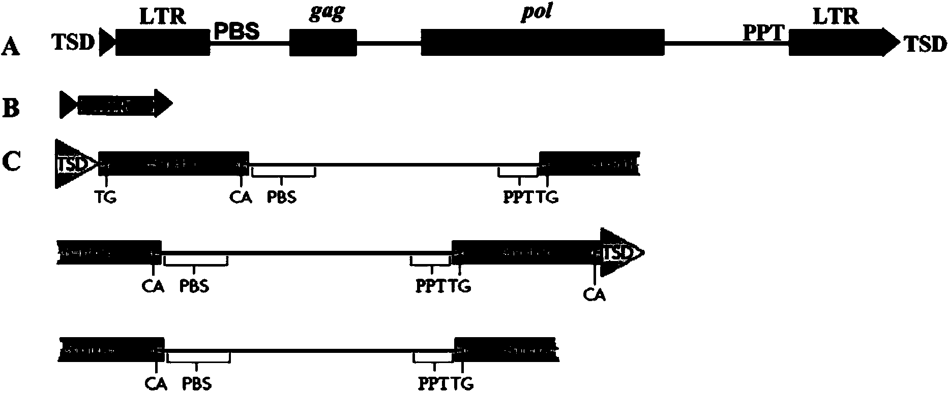 Method for batch inspection of plant genome LTR-retrotransposon