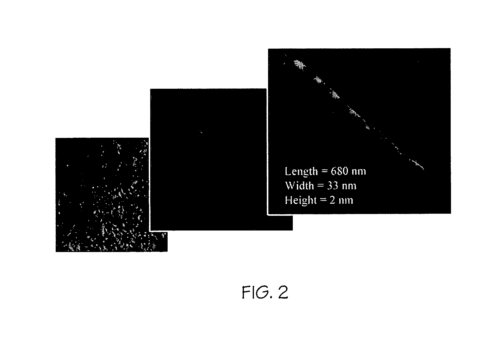 Use of repeat sequence protein polymers in personal care compositions