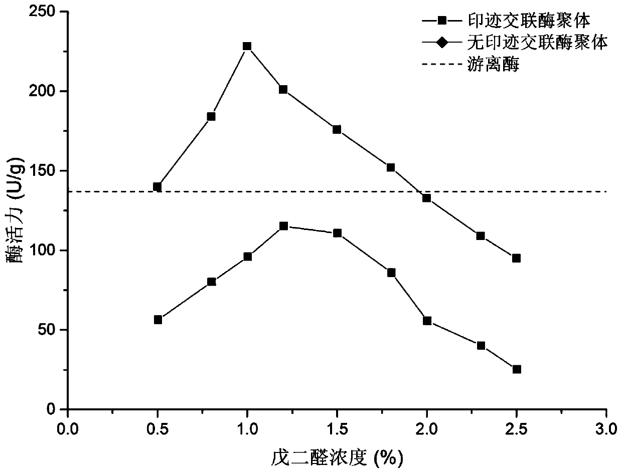 A method for immobilizing phospholipase d to improve the activity of phosphatidylglycerol synthesis