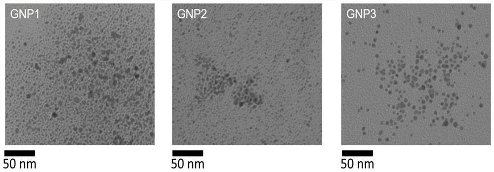 Application of a gold nanoparticle modified by a ferrocene amide molecular compound in pharmacy