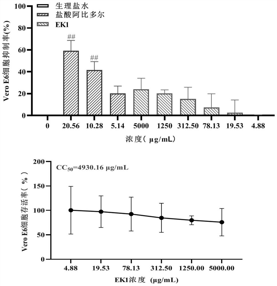 Protein freeze-dried powder and solution thereof