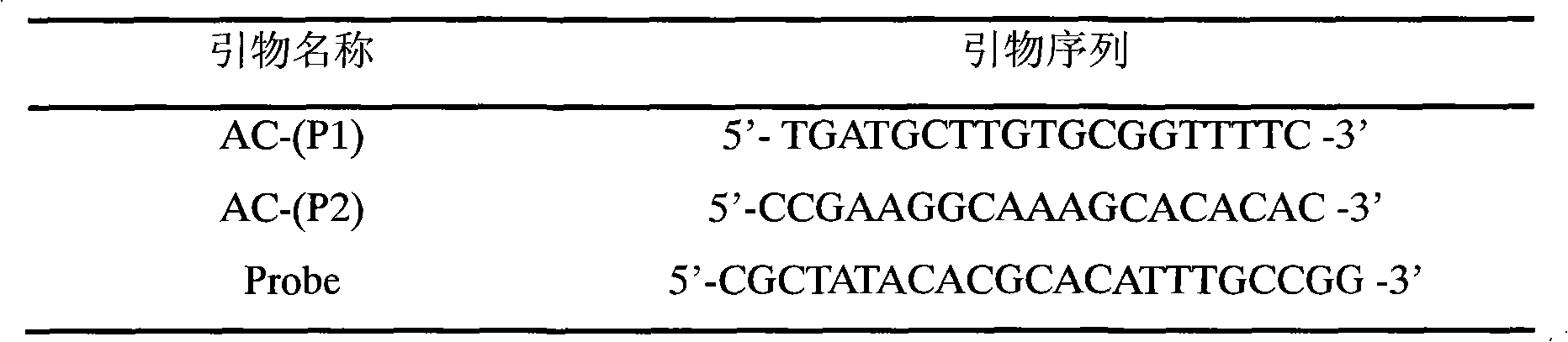 TaqMan probe for real-time fluorescence PCR (Polymerase Chain Reaction) detection of angiostrongylus cantonensis infected snails