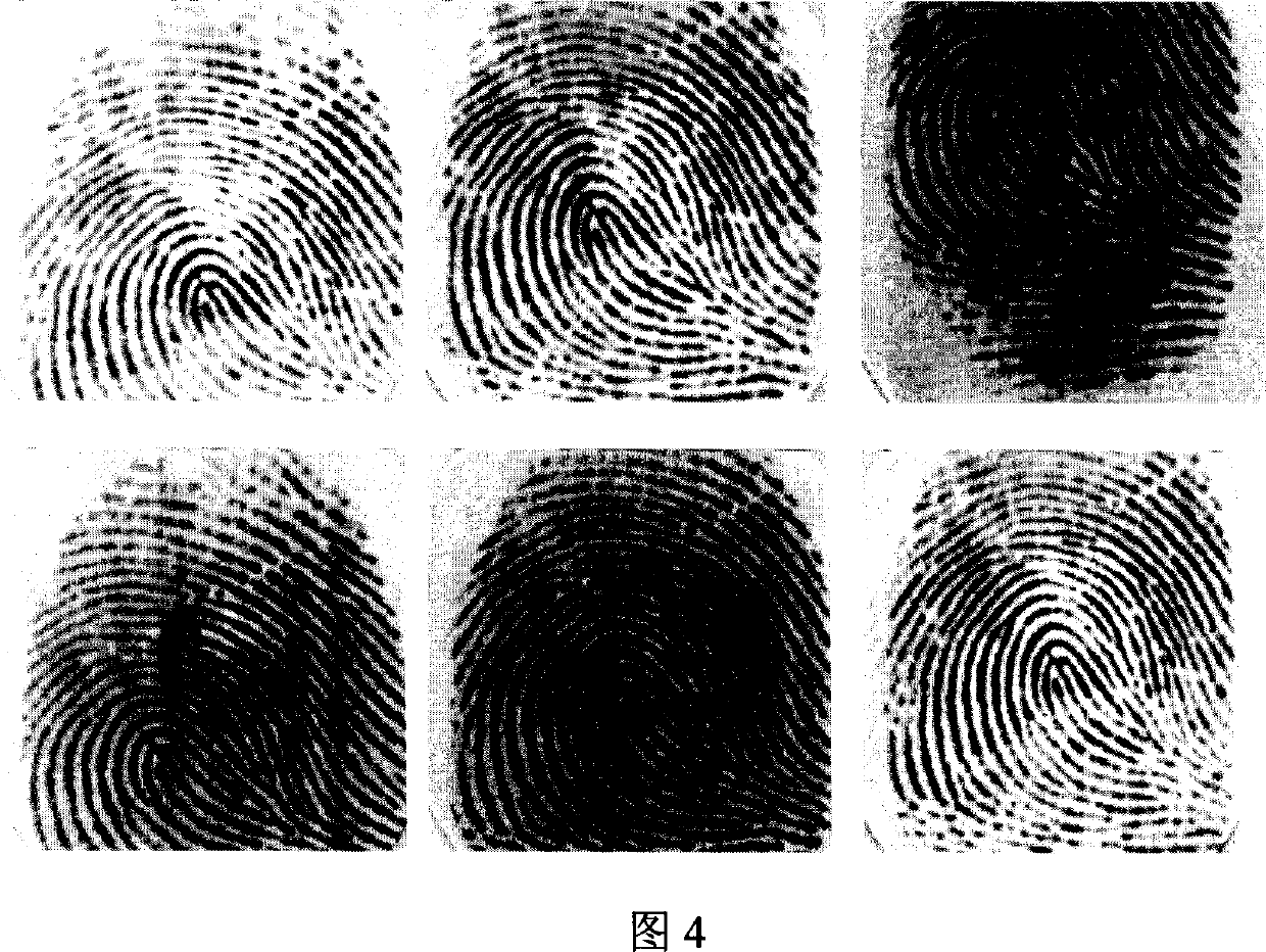Automatic fingerprint distinguishing system and method based on template learning