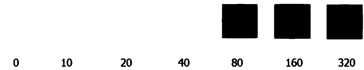 Reagent for detecting urine microalbumin and application of reagent