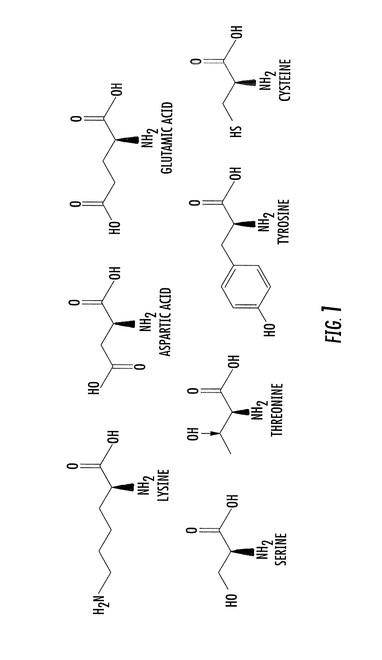 Asymmetric biofunctional silyl monomers and particles thereof as prodrugs and delivery vehicles for pharmaceutical, chemical and biological agents