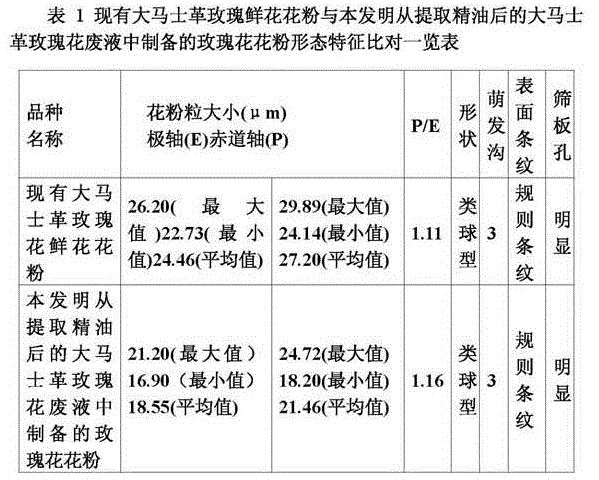 Method for preparing rosa rugosa pollen from waste liquid of rosa rugosa subjected to essential oil extraction