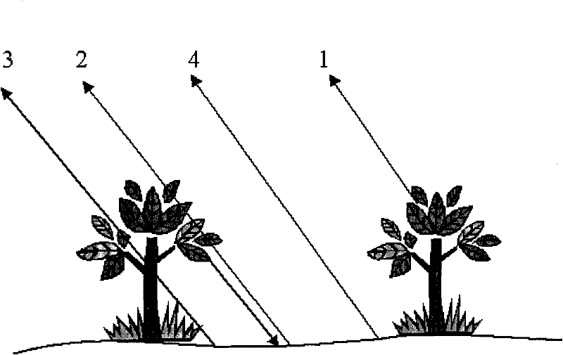 Method for separating vegetation information from earth surface transmission signals in multi-angle satellite observation signals