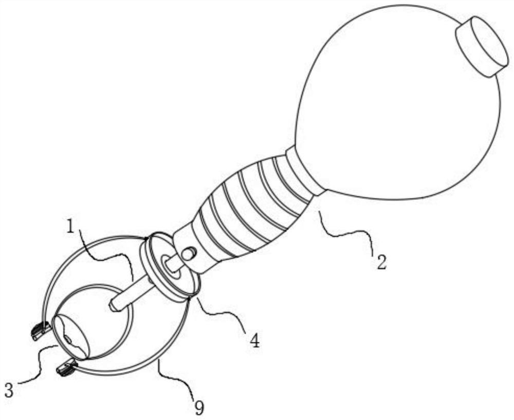 Conjunctival sac flushing device