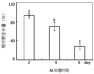 A sterile filter paper cultivation method for studying plant root-environment interactions