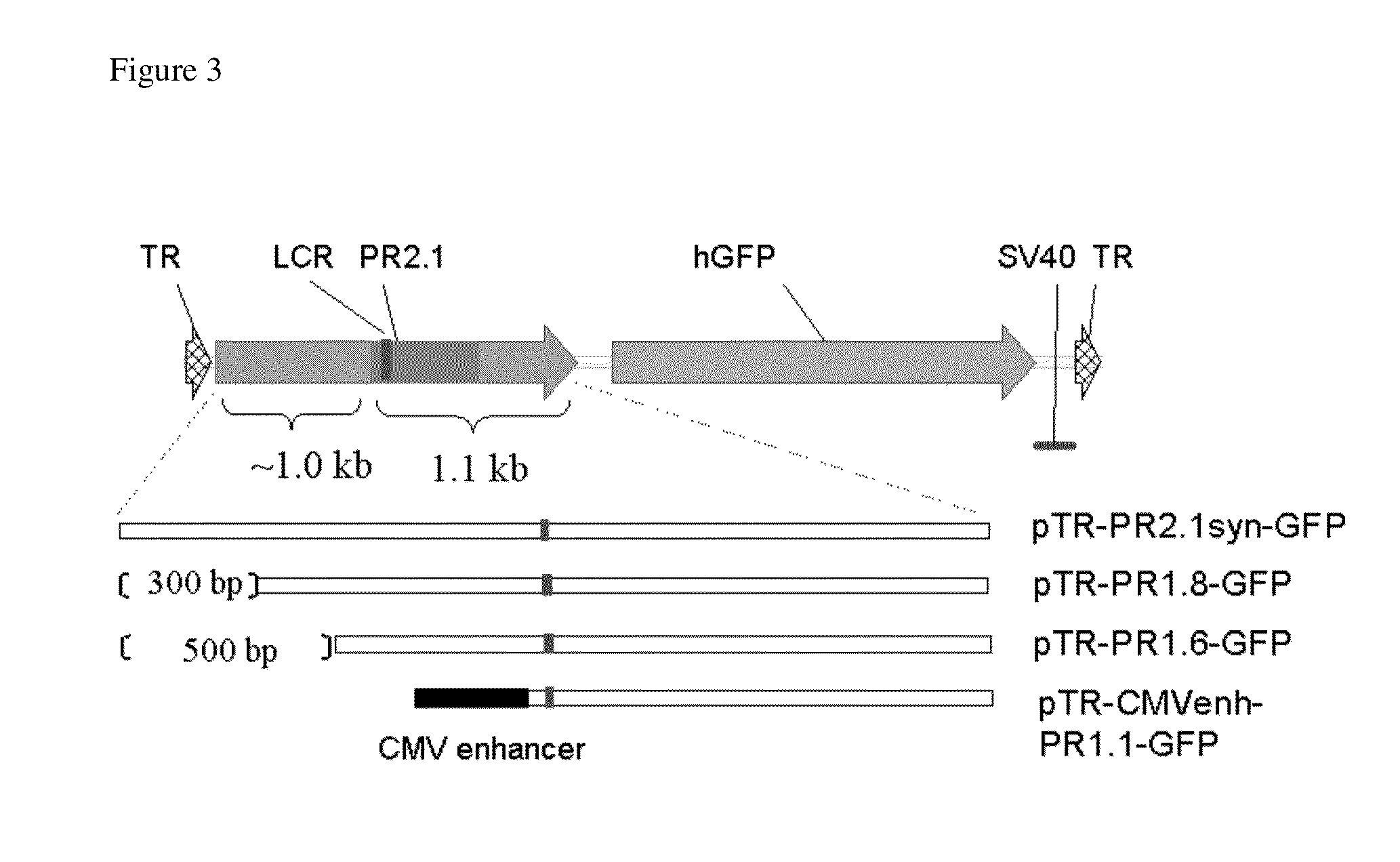 Promoters, expression cassettes, vectors, kits, and methods for the treatment of achromatopsia  and other diseases