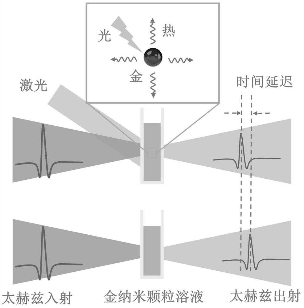 Terahertz wave phase regulation and control method based on organic solvent