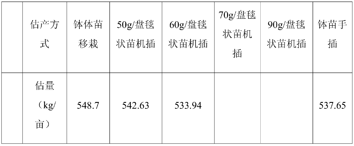 Method for carrying out low seeding rate precision row seeding rice seedling raising of hybrid rice to enable strong seedlings to form carpet shape