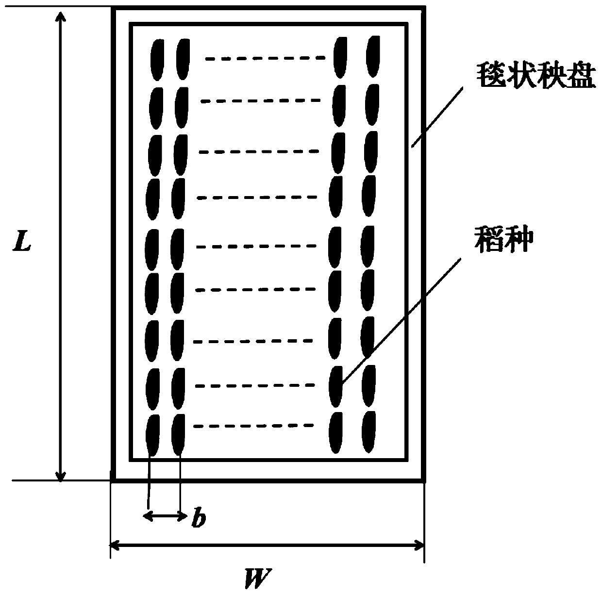 Method for carrying out low seeding rate precision row seeding rice seedling raising of hybrid rice to enable strong seedlings to form carpet shape