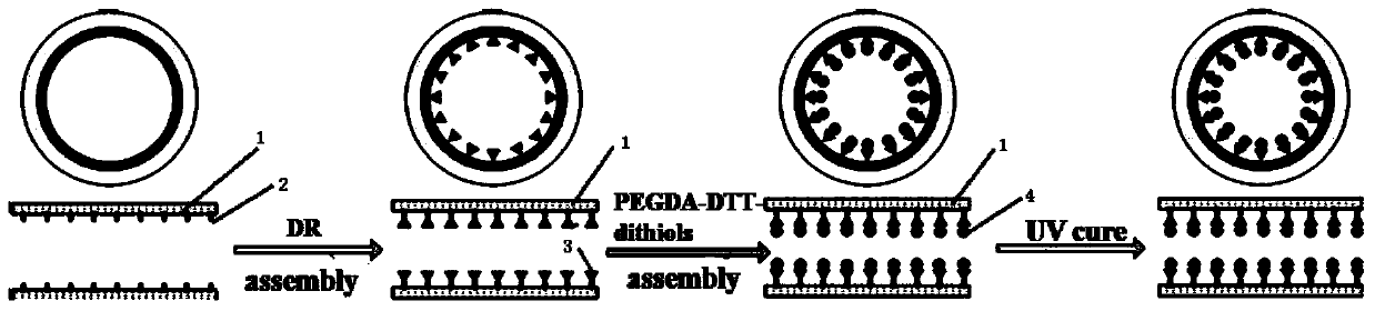 A temperature-sensitive regenerable capillary, its preparation method and application