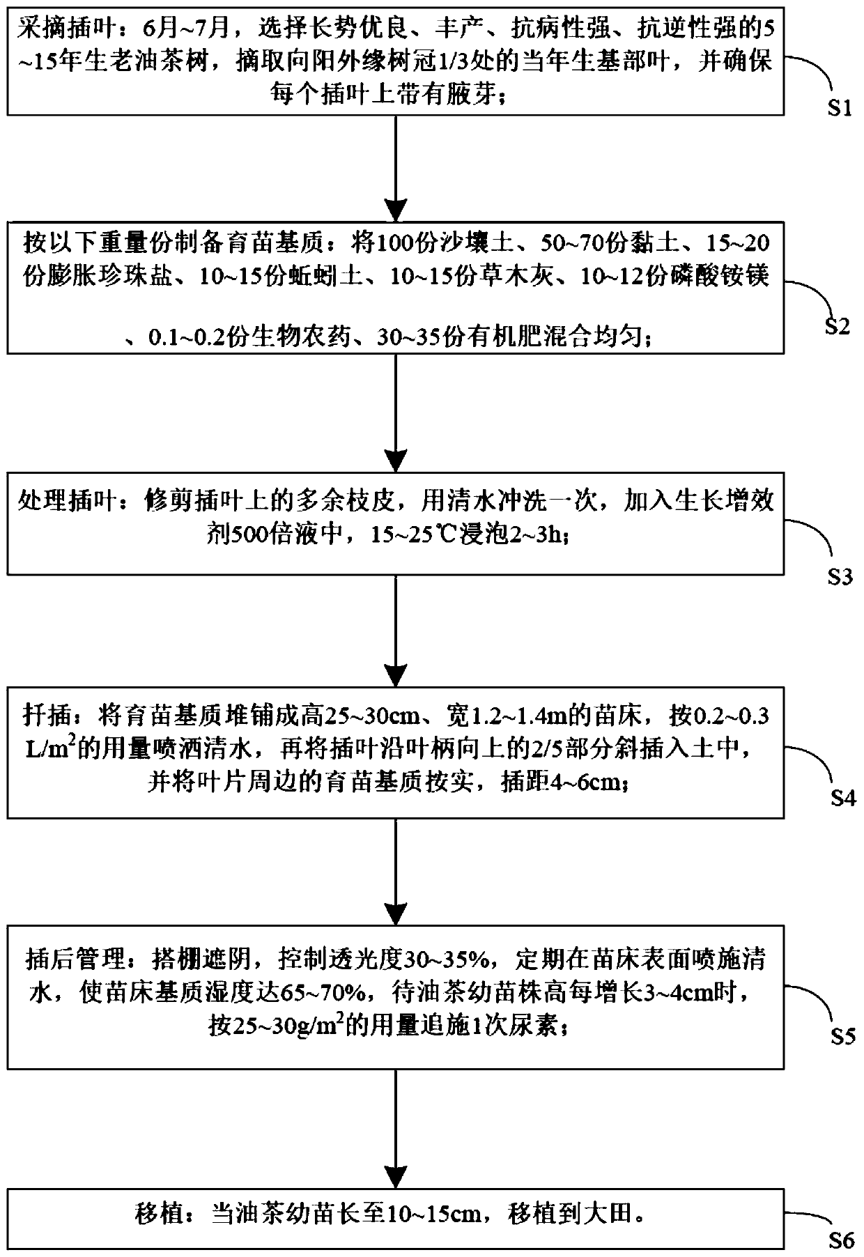 Seedling culture method for Camellia oleifera