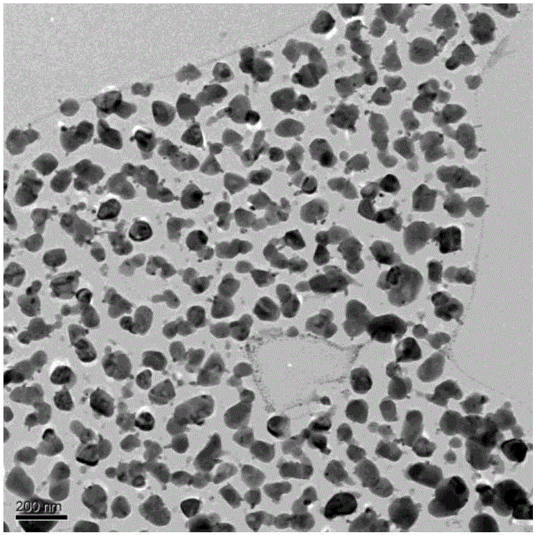 Polyaniline-modified graphene conductive composite film and preparation method thereof