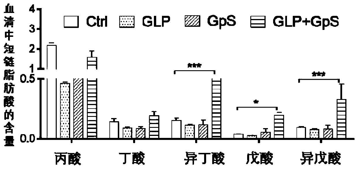 Composition for activating fatty acid-G protein coupling acceptor route
