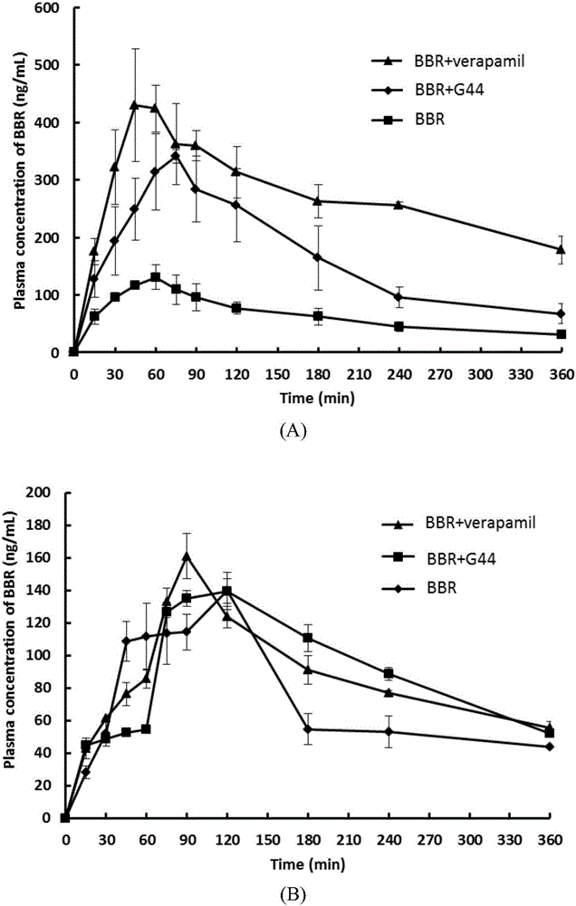 Application of P-glycoprotein inhibitor Gelucire44/14 serving as orally-administrated berberine hydrochloride absorption enhancer
