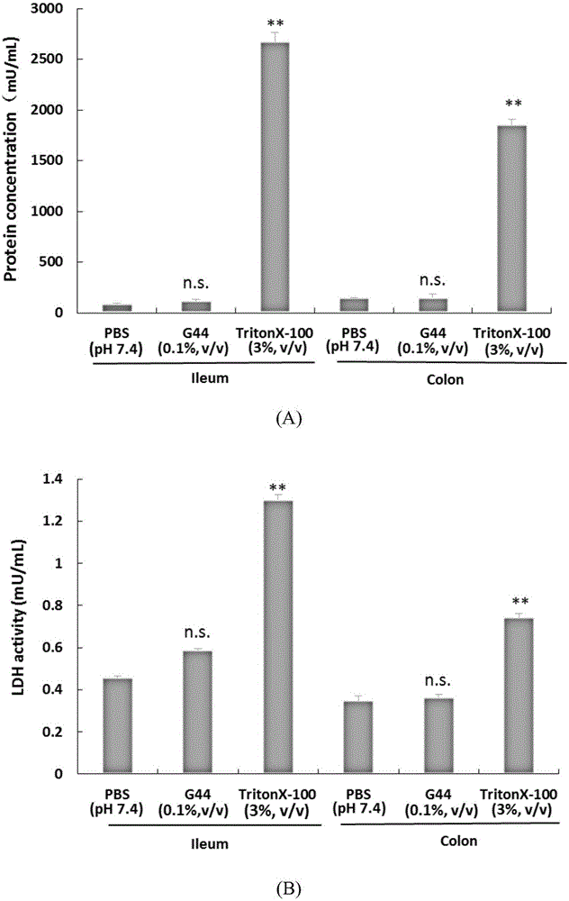 Application of P-glycoprotein inhibitor Gelucire44/14 serving as orally-administrated berberine hydrochloride absorption enhancer