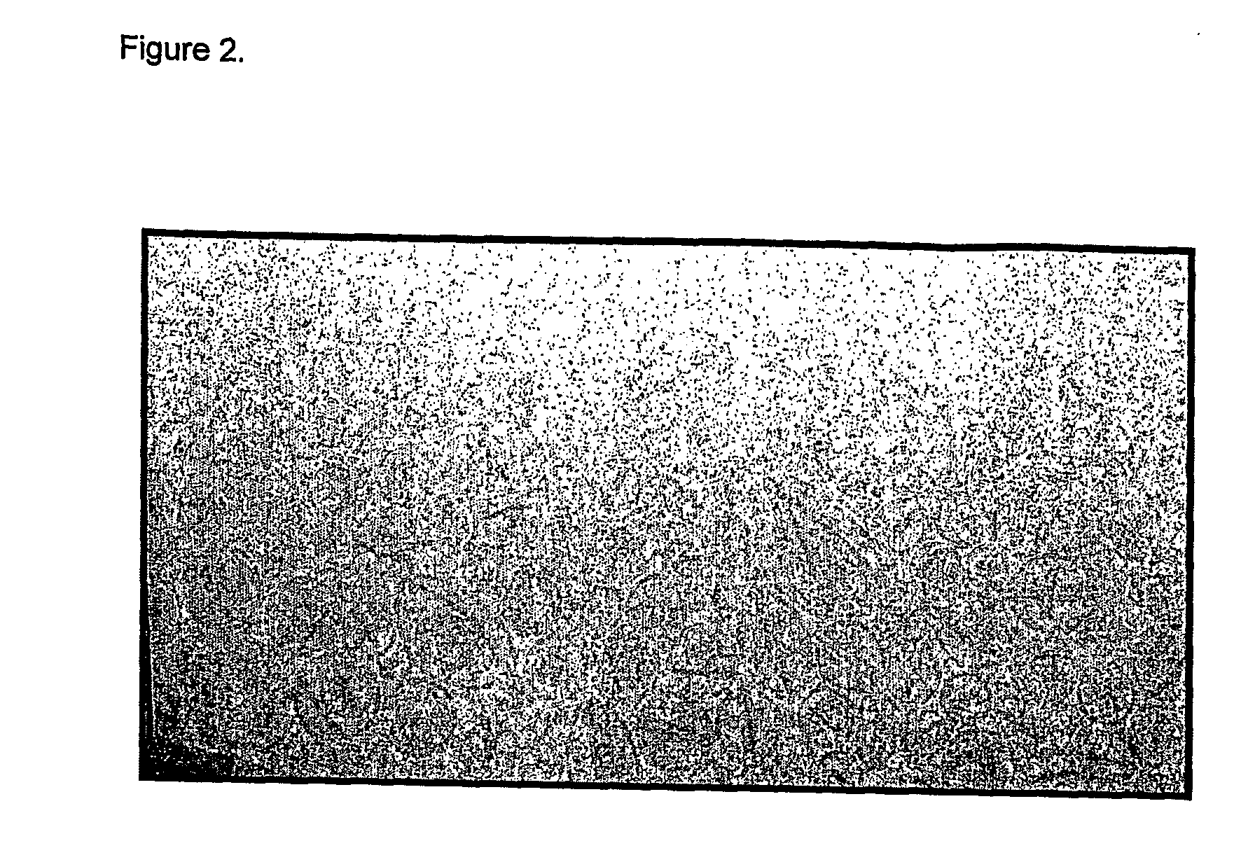 Stabilized topotecan liposomal composition and methods