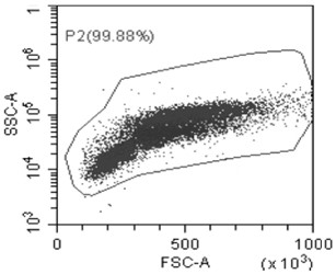 Combined gene for second-generation sequencing of multiple myeloma, application of combined gene and sequencing method based on combined gene