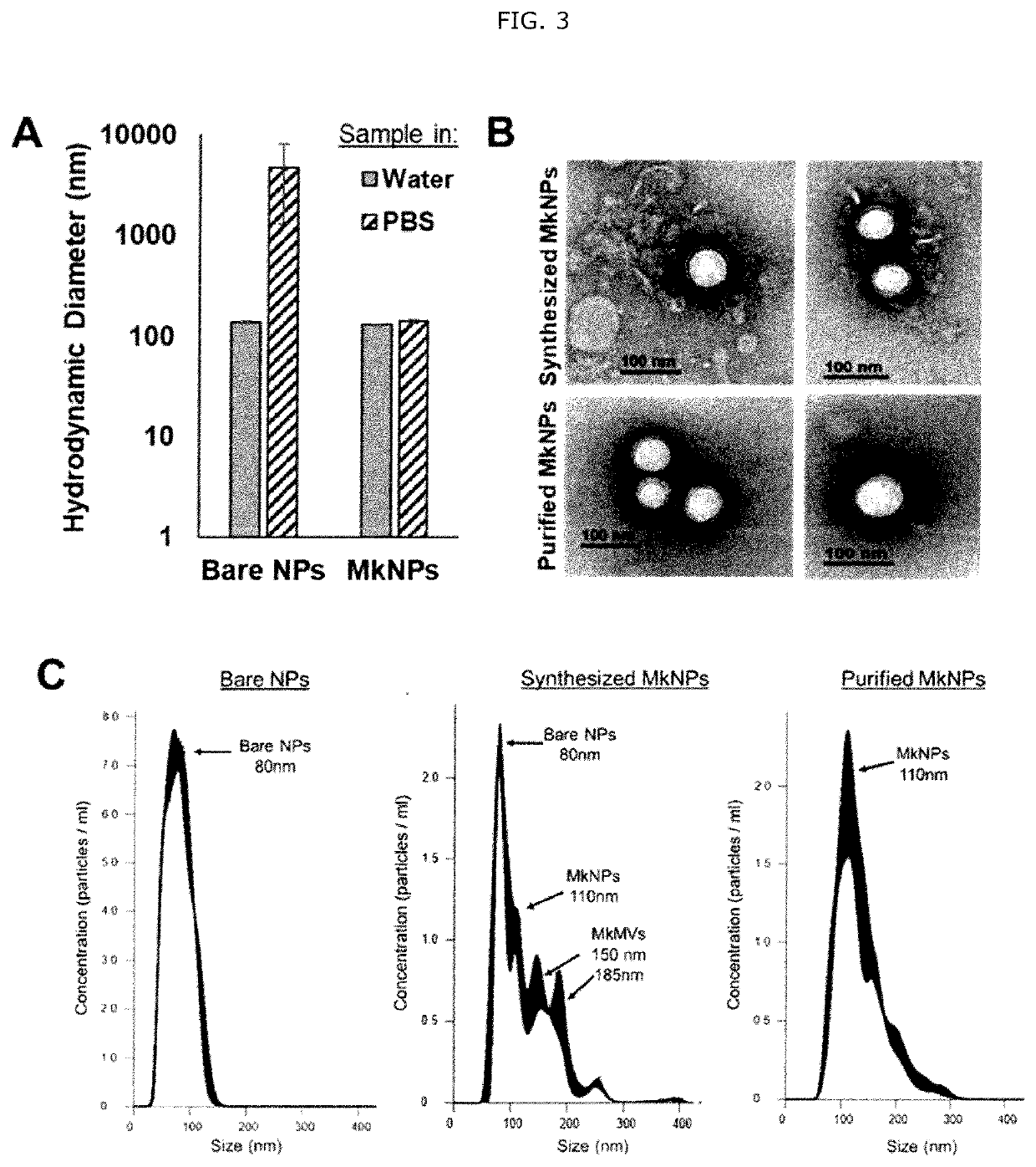 Biomembrane-covered nanoparticles (bionps) for delivering active agents to stem cells