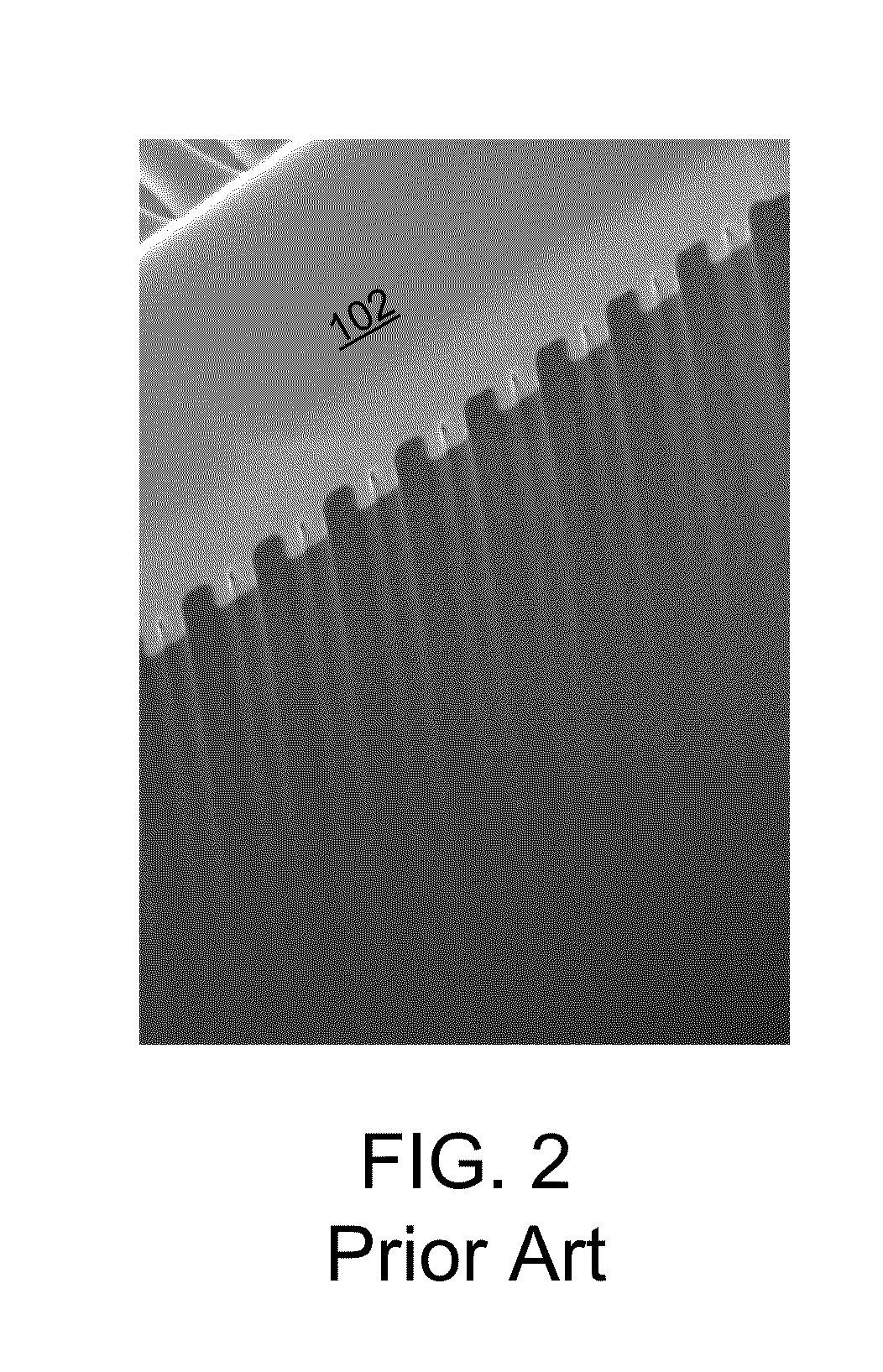 Method for preparing samples for imaging