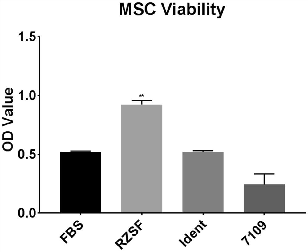 Serum-free, animal-derived component-free, defined media and their applications