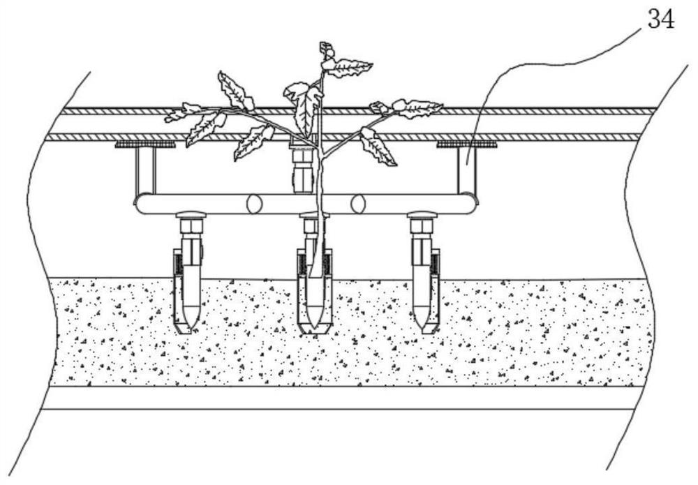 A precise hole-applying device for tomato yellow sand soilless cultivation with integrated water and fertilizer