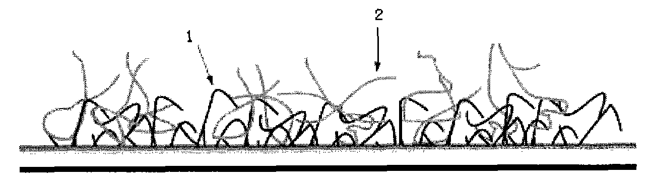 Hydrophilic coating for surface of medical apparatus and preparation method thereof