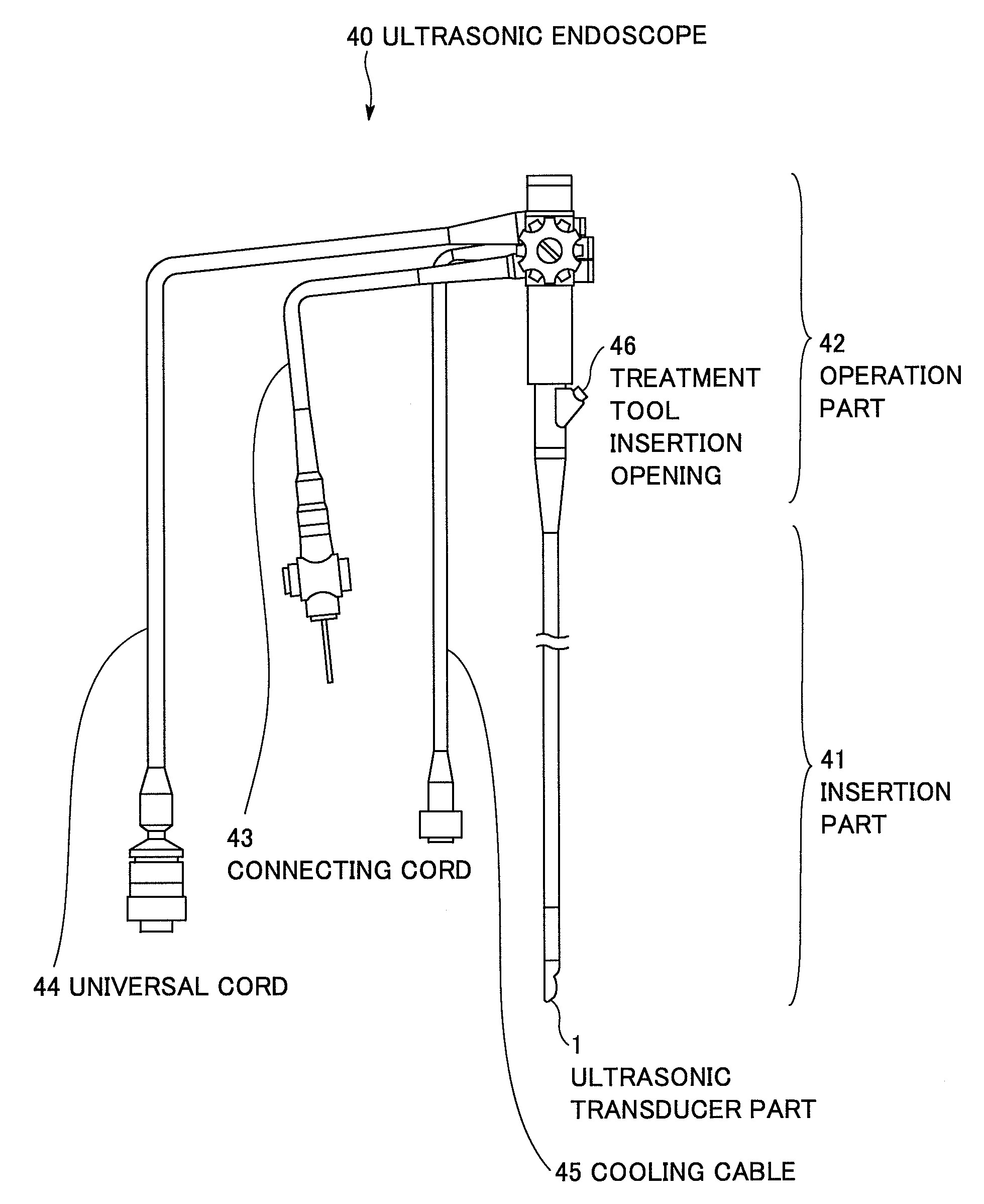 Ultrasonic endoscope and ultrasonic endoscopic apparatus