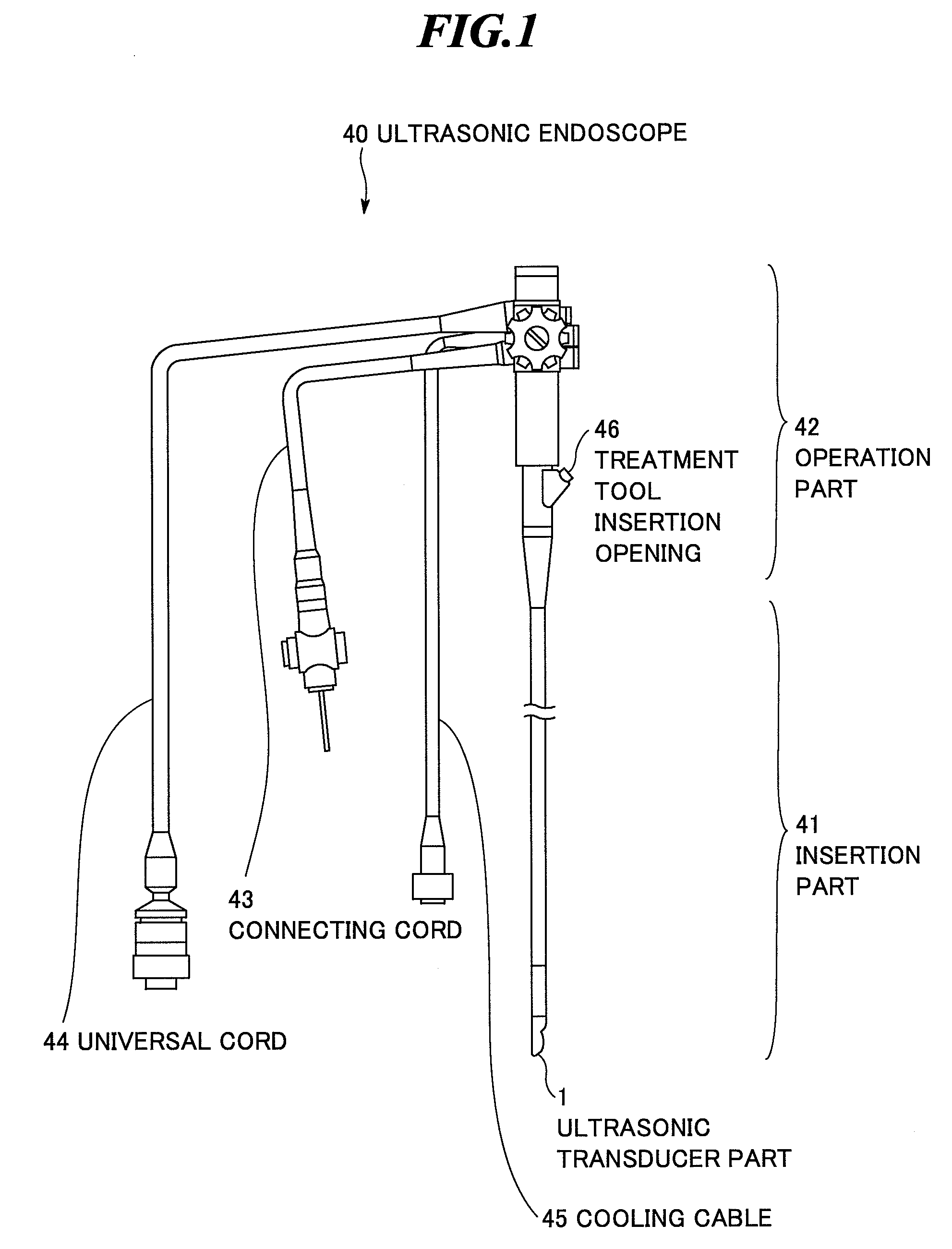 Ultrasonic endoscope and ultrasonic endoscopic apparatus