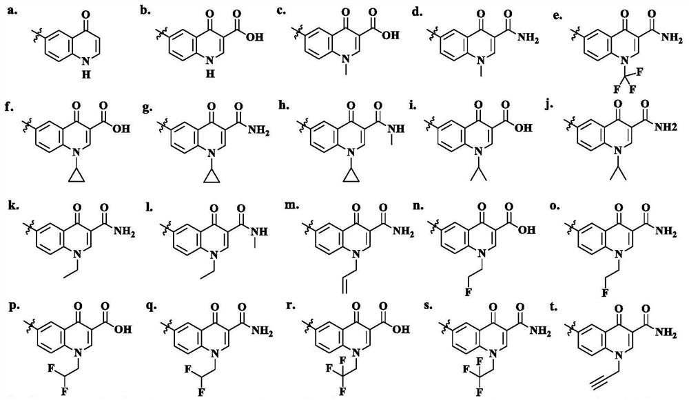 A kind of hybrid compound of macrolide and quinolone and preparation method thereof