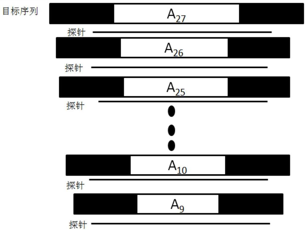 Probe set and reagent kit for detecting microsatellite instability through high-flux sequencing, and detection method of microsatellite instability