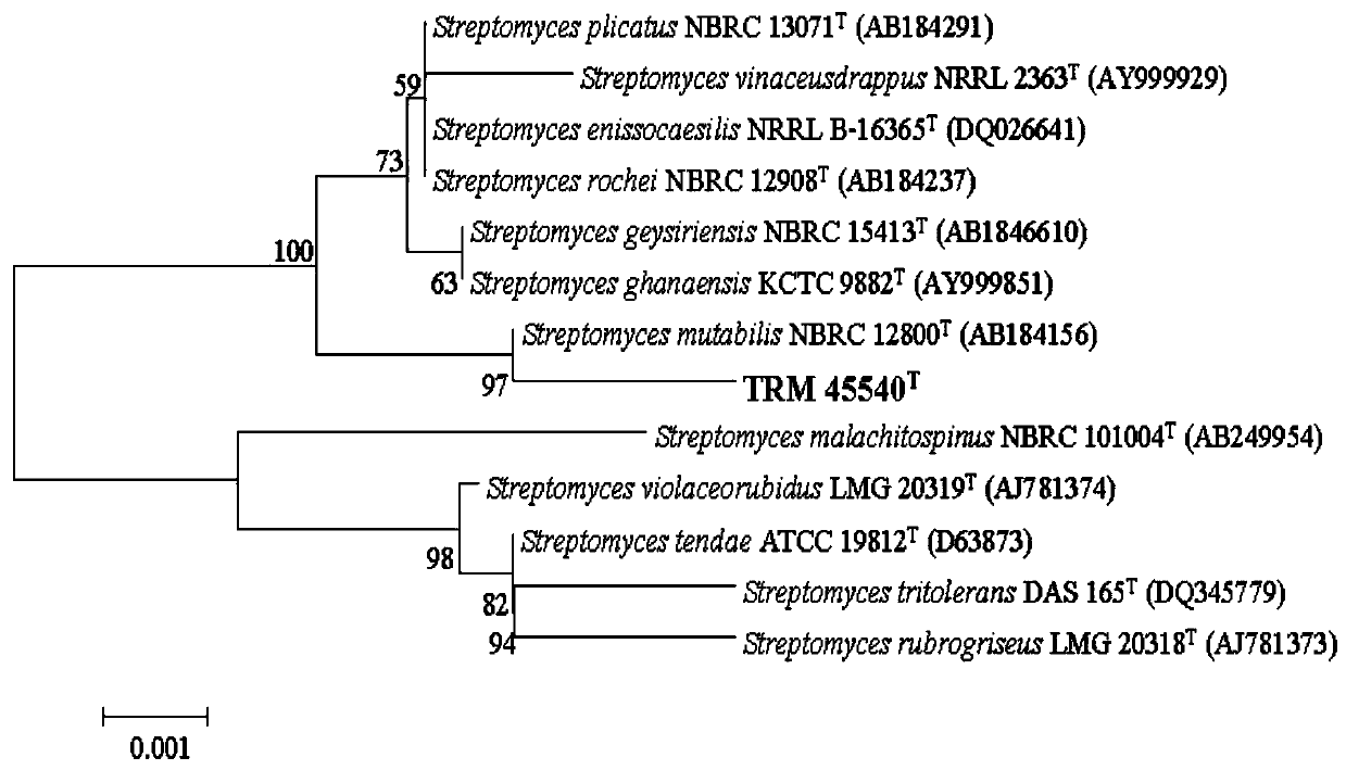 Preparation method and application of actinomycin d