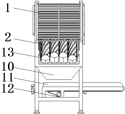 Bamboo shoot peeling machine