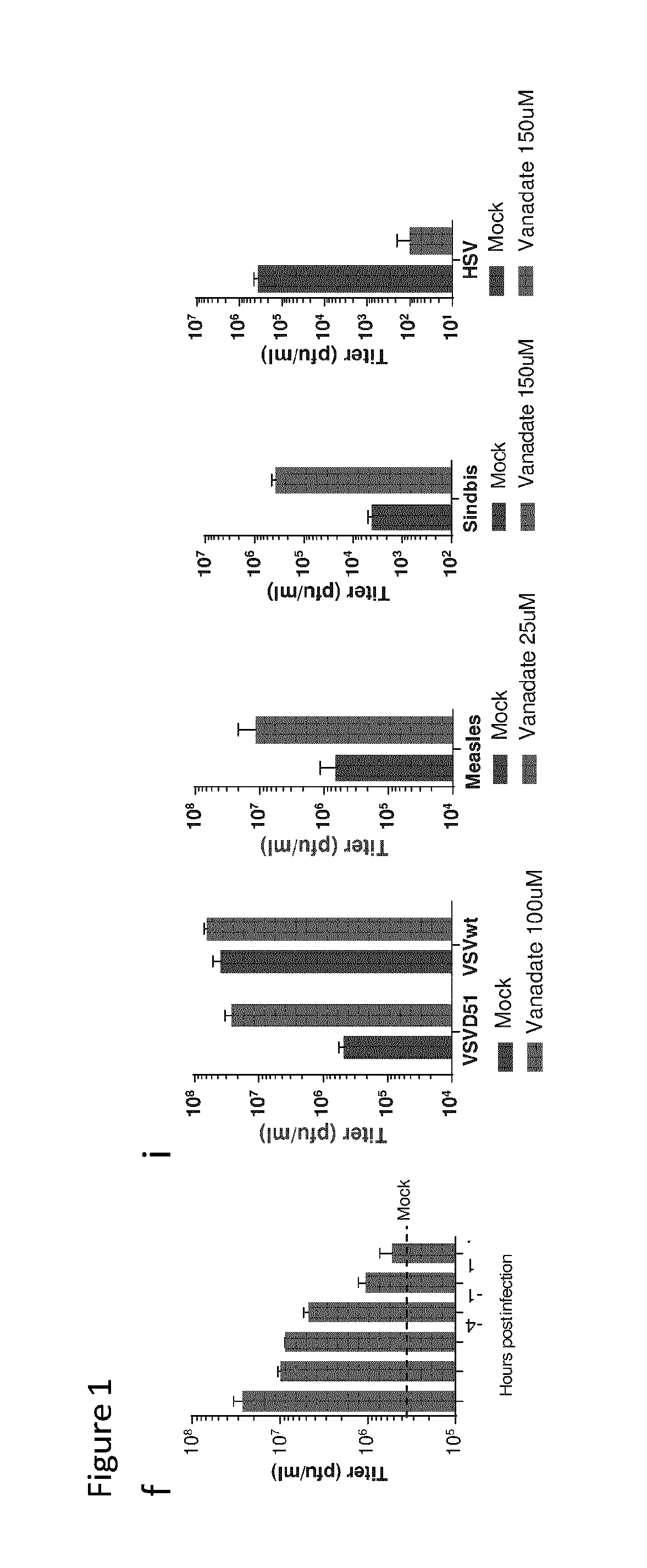 Compositions and methods for enhancing growth, spread, and oncolytic and immunotherapeutic efficacy of oncolytic RNA viruses
