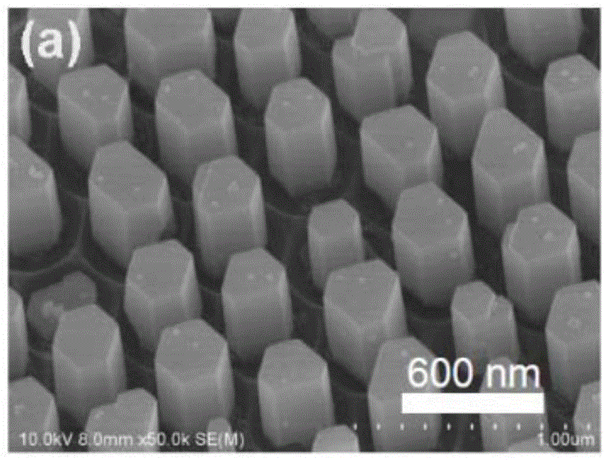 Preparation method of strong ultraviolet photoluminescent ZnO ordered nano column