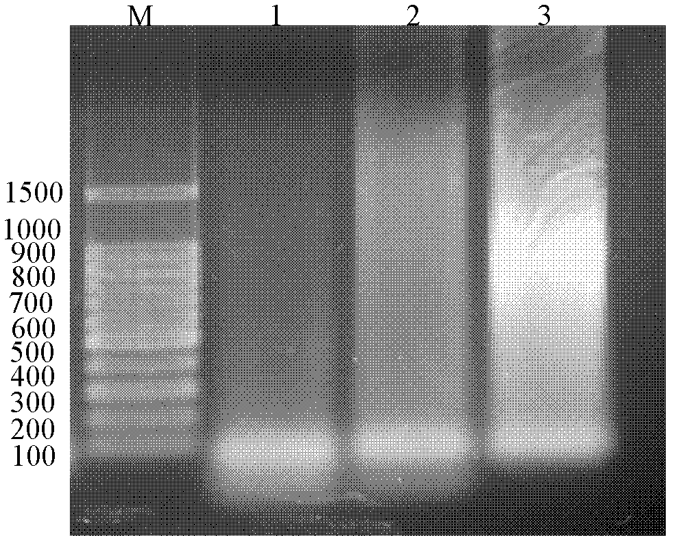 PCR (polymerase chain reaction) method for eliminating genes