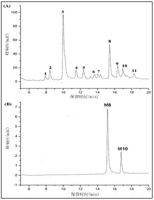 Compound with alpha-glucosaccharase inhibitory activity in mulberry leaf and application of compound