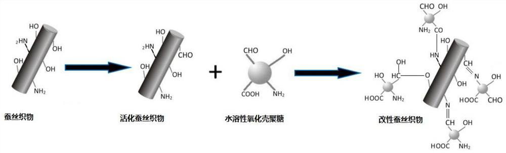 Water-soluble oxidized chitosan and method for finishing fabric by using water-soluble oxidized chitosan