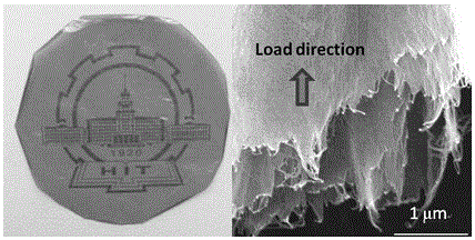 A kind of preparation method of carbon nanotube-Kevlar nanofiber composite film