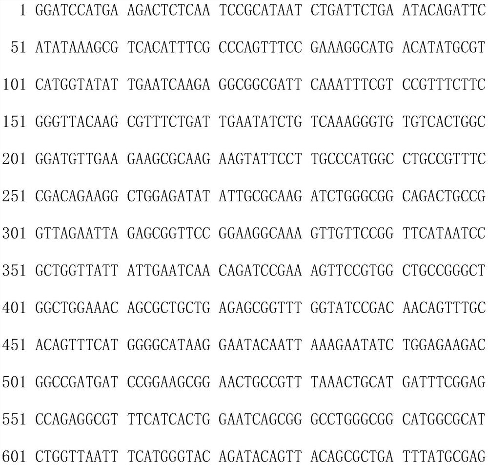 Method for producing nicotinamide mononucleotide by utilizing recombinant bacillus subtilis